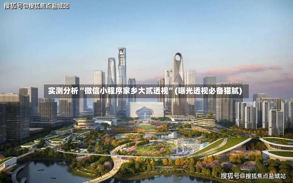 实测分析“微信小程序家乡大贰透视	”(曝光透视必备猫腻)-第3张图片