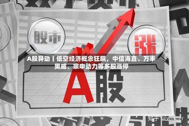 A股异动丨低空经济概念狂飙，中信海直、万丰奥威	、宗申动力等多股涨停-第2张图片