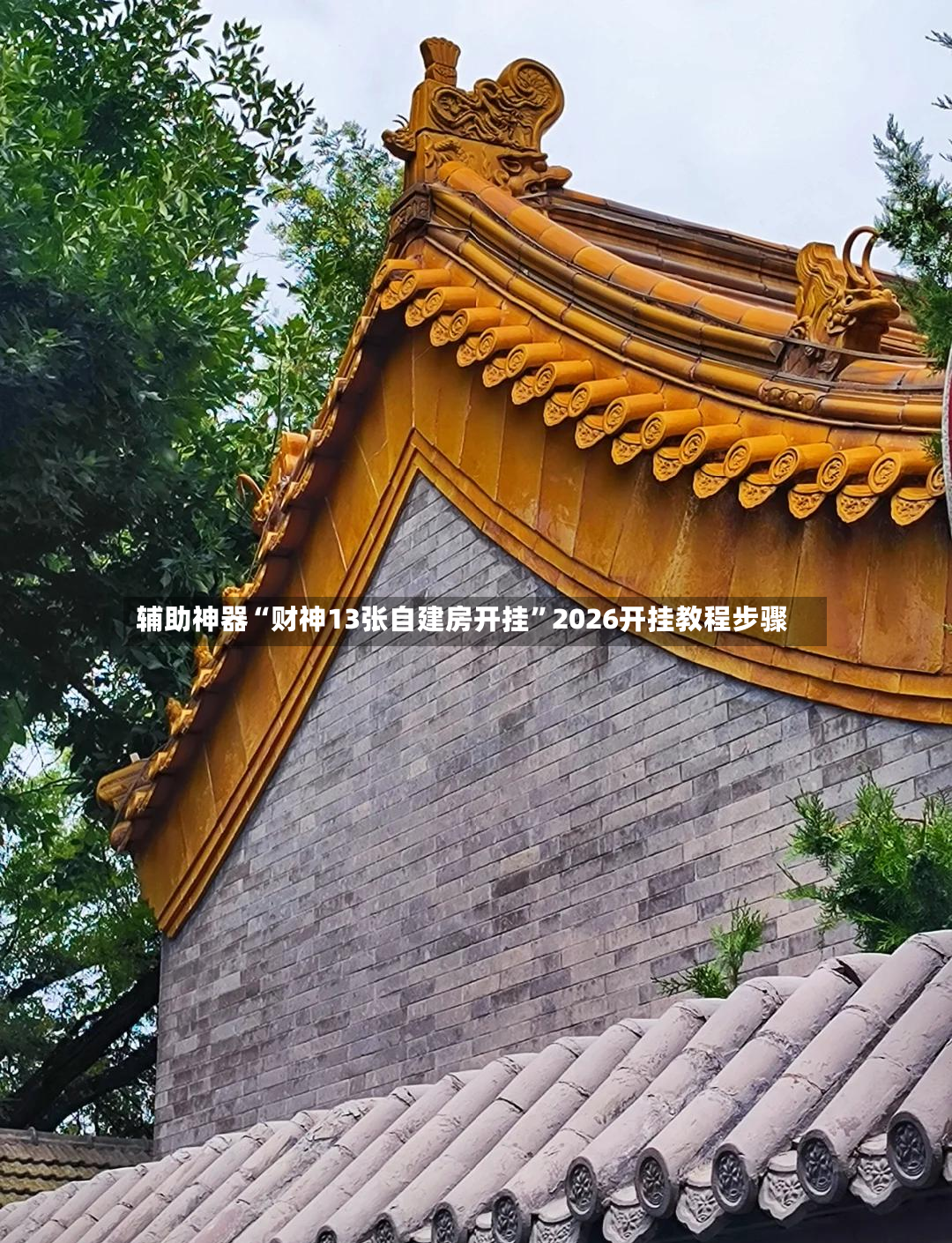 辅助神器“财神13张自建房开挂”2026开挂教程步骤-第2张图片