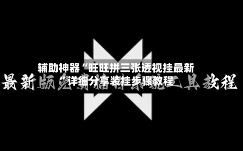 辅助神器“旺旺拼三张透视挂最新	”详细分享装挂步骤教程-第2张图片