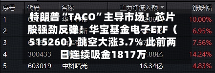 特朗普“TACO”主导市场！芯片股强劲反弹！华宝基金电子ETF（515260）跳空大涨3.7% 此前两日连续吸金1817万-第3张图片