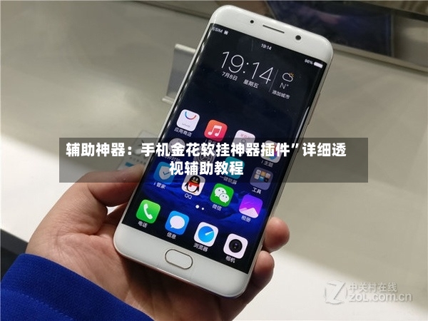 辅助神器：手机金花软挂神器插件”详细透视辅助教程-第2张图片