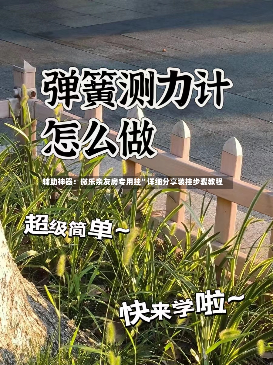 辅助神器：微乐亲友房专用挂”详细分享装挂步骤教程