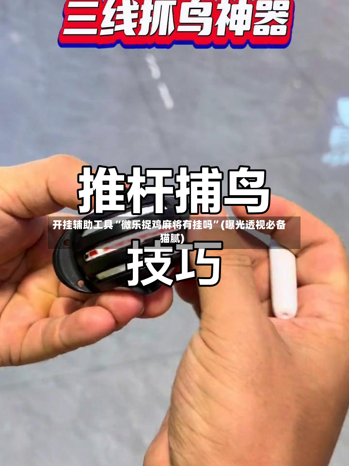 开挂辅助工具“微乐捉鸡麻将有挂吗	”(曝光透视必备猫腻)-第2张图片