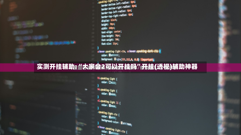 实测开挂辅助:“大家会2可以开挂吗”开挂(透视)辅助神器-第2张图片