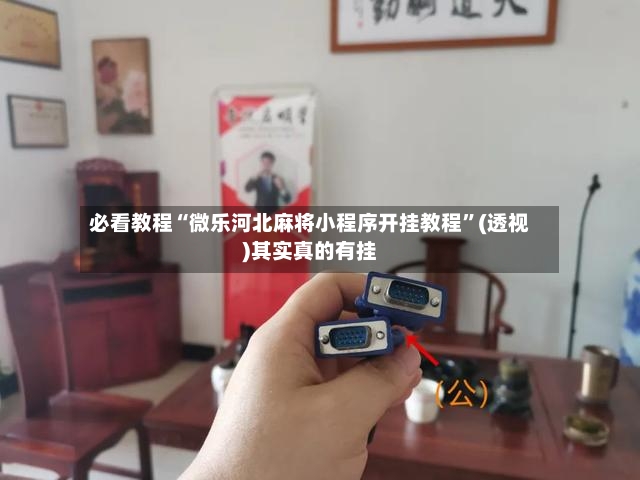 必看教程“微乐河北麻将小程序开挂教程”(透视)其实真的有挂
