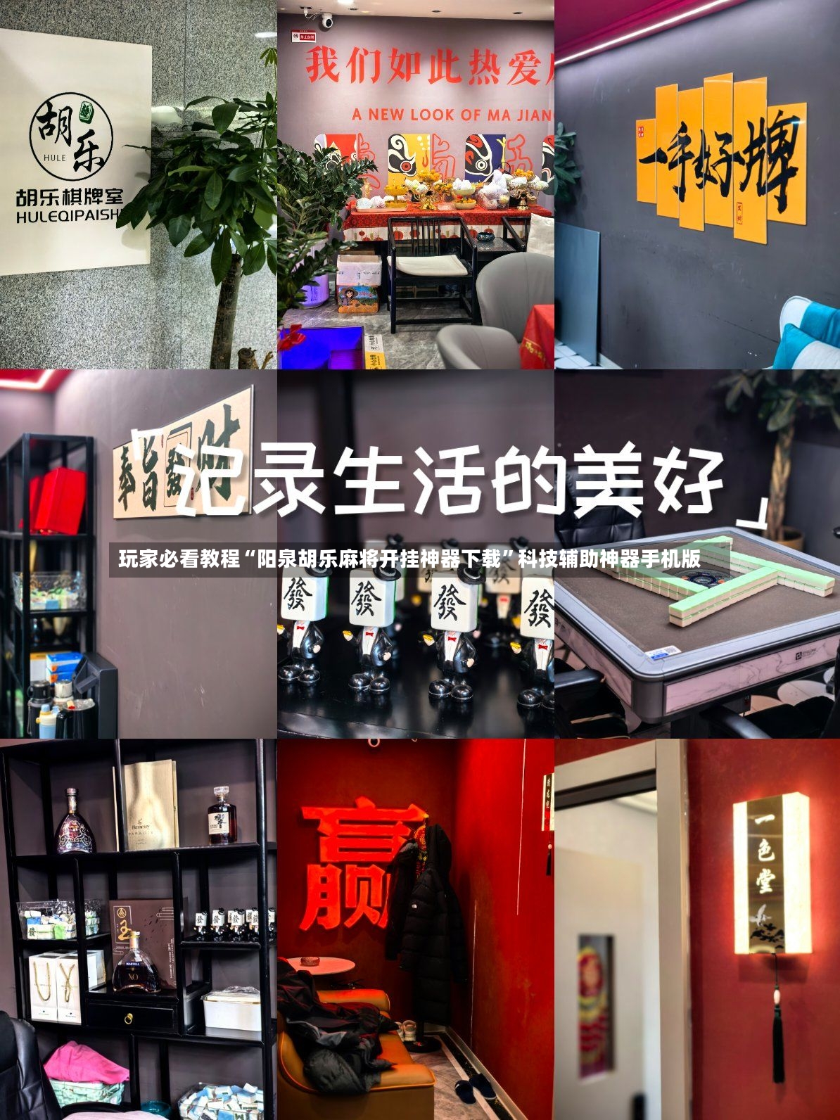玩家必看教程“阳泉胡乐麻将开挂神器下载”科技辅助神器手机版-第2张图片