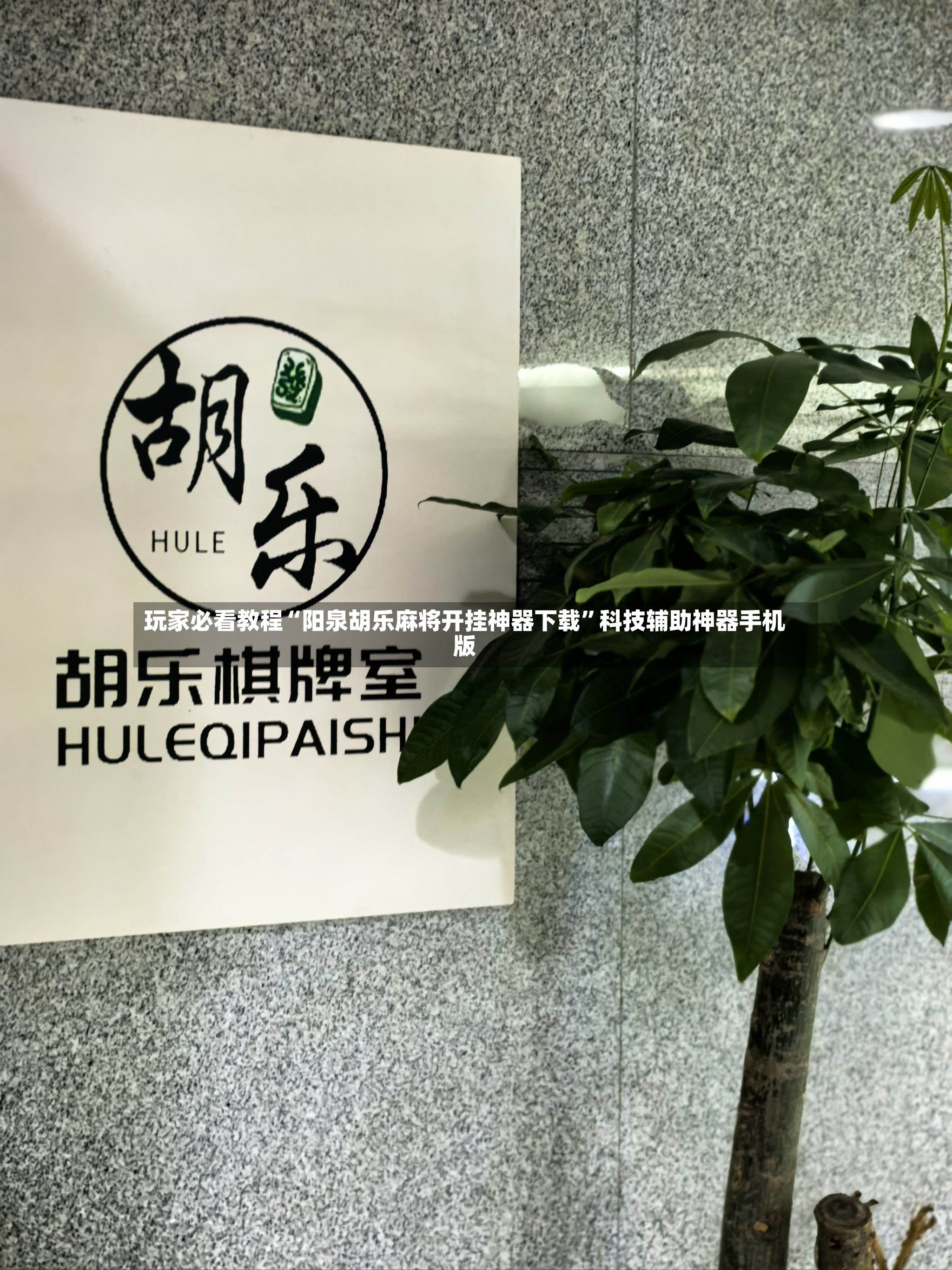 玩家必看教程“阳泉胡乐麻将开挂神器下载	”科技辅助神器手机版-第3张图片