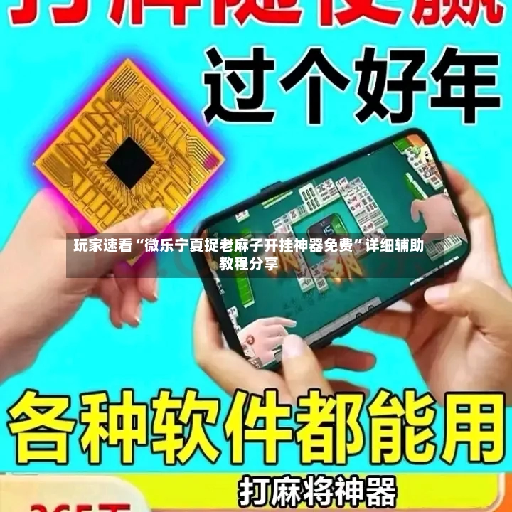 玩家速看“微乐宁夏捉老麻子开挂神器免费”详细辅助教程分享-第2张图片