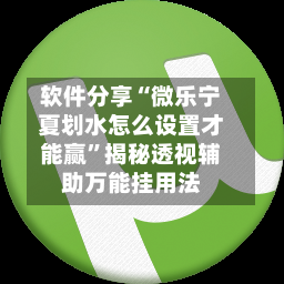 软件分享“微乐宁夏划水怎么设置才能赢	”揭秘透视辅助万能挂用法-第2张图片