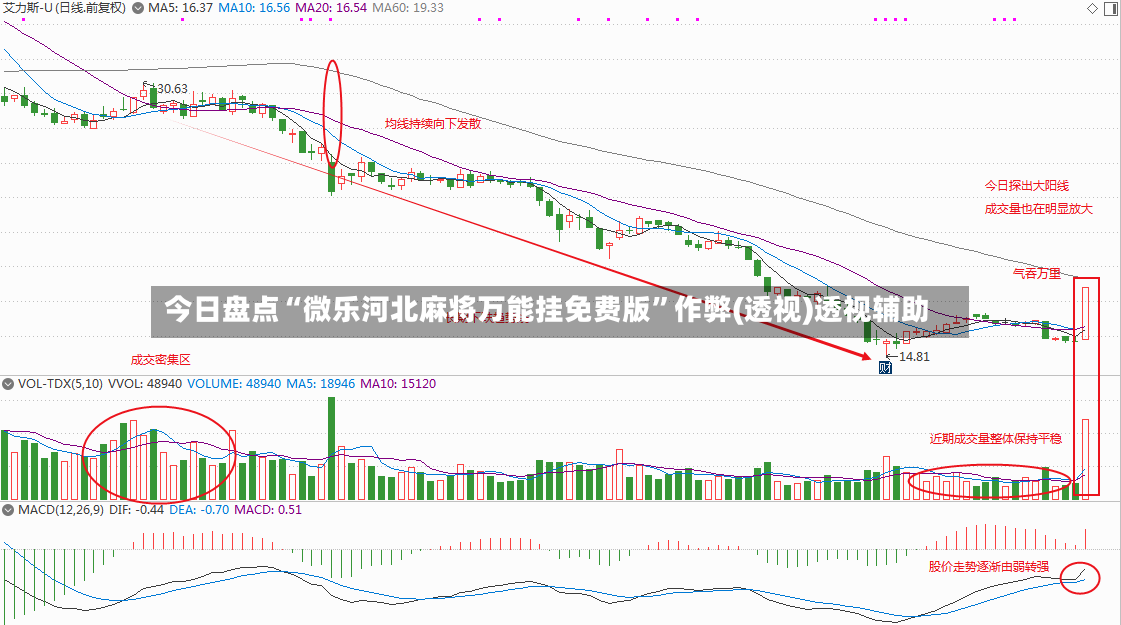 今日盘点“微乐河北麻将万能挂免费版”作弊(透视)透视辅助-第3张图片