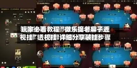玩家必看教程“微乐捉老麻子透视挂	”透视挂!详细分享装挂步骤-第3张图片