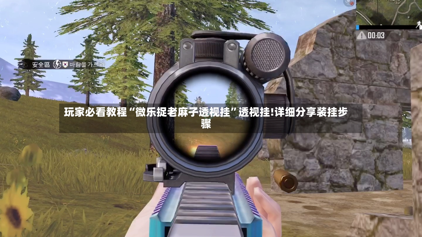 玩家必看教程“微乐捉老麻子透视挂”透视挂!详细分享装挂步骤-第2张图片