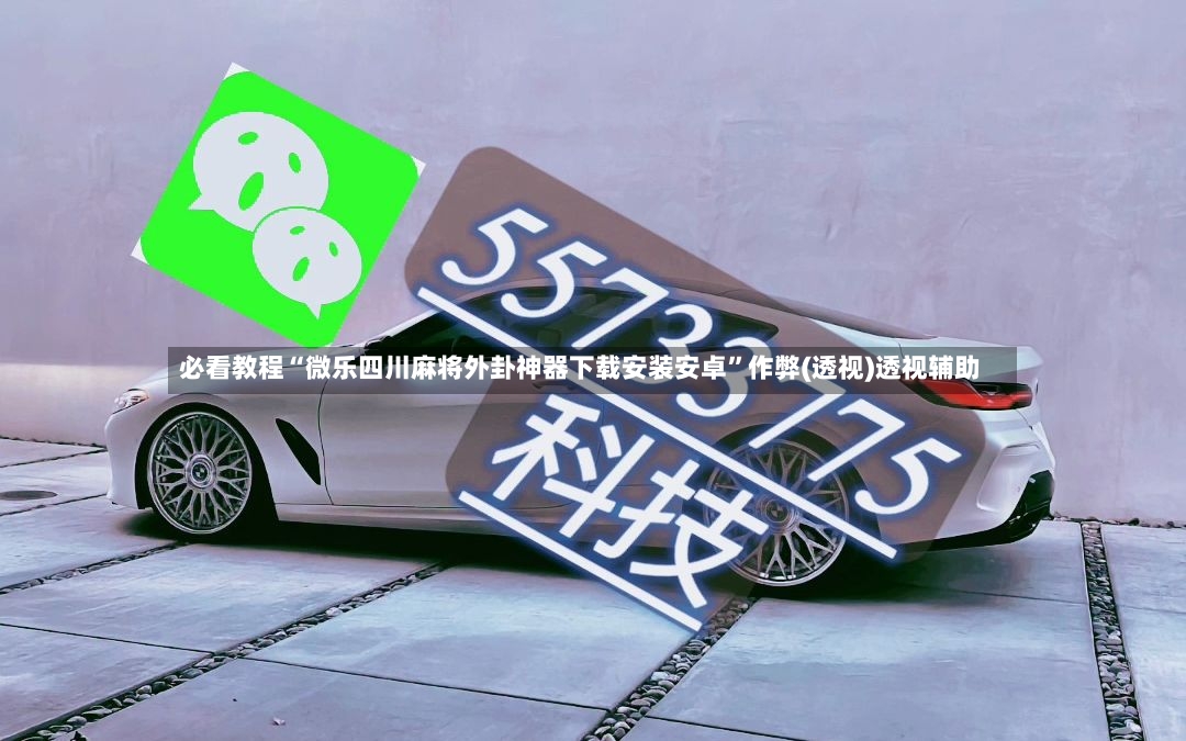 必看教程“微乐四川麻将外卦神器下载安装安卓”作弊(透视)透视辅助-第2张图片