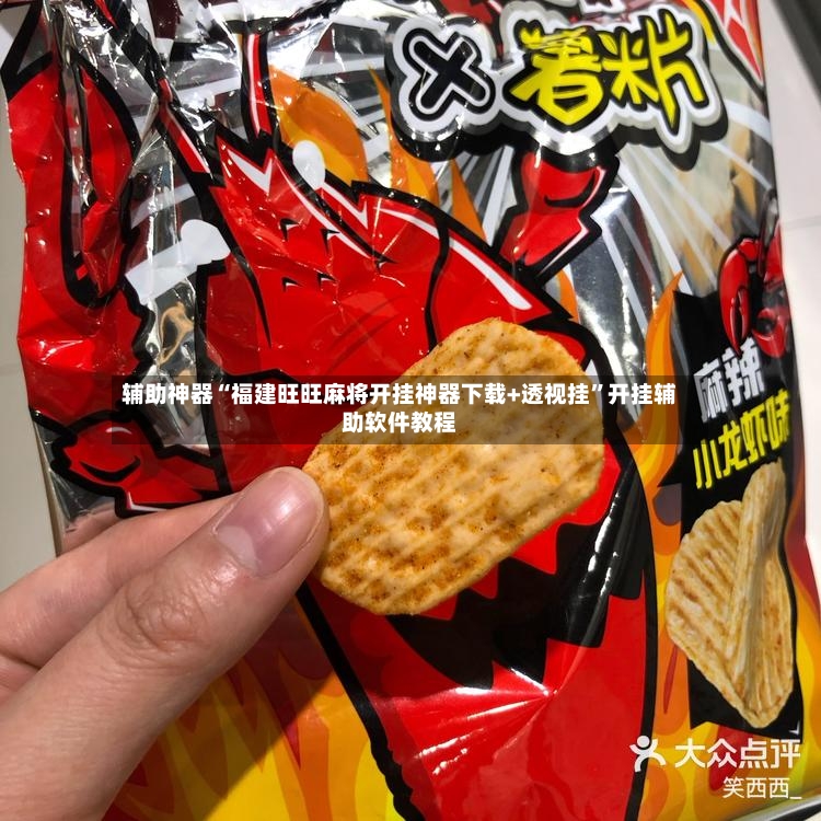 辅助神器“福建旺旺麻将开挂神器下载+透视挂”开挂辅助软件教程-第2张图片