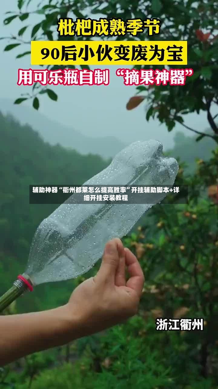 辅助神器“衢州都莱怎么提高胜率”开挂辅助脚本+详细开挂安装教程-第3张图片