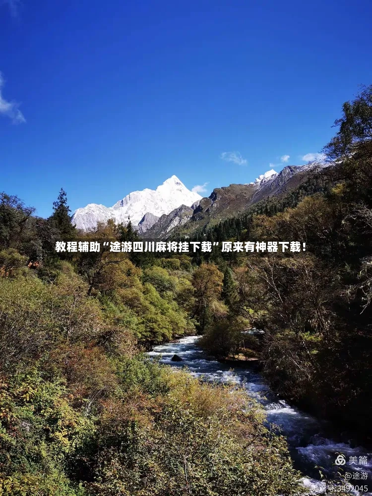 教程辅助“途游四川麻将挂下载”原来有神器下载！