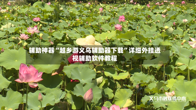 辅助神器“越乡游义乌辅助器下载	”详细外挂透视辅助软件教程-第3张图片