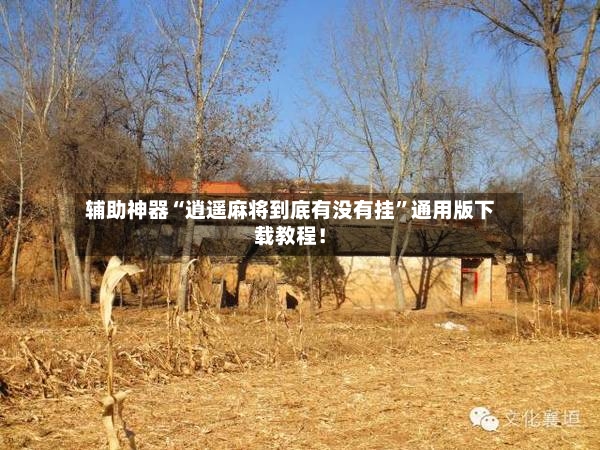 辅助神器“逍遥麻将到底有没有挂”通用版下载教程！