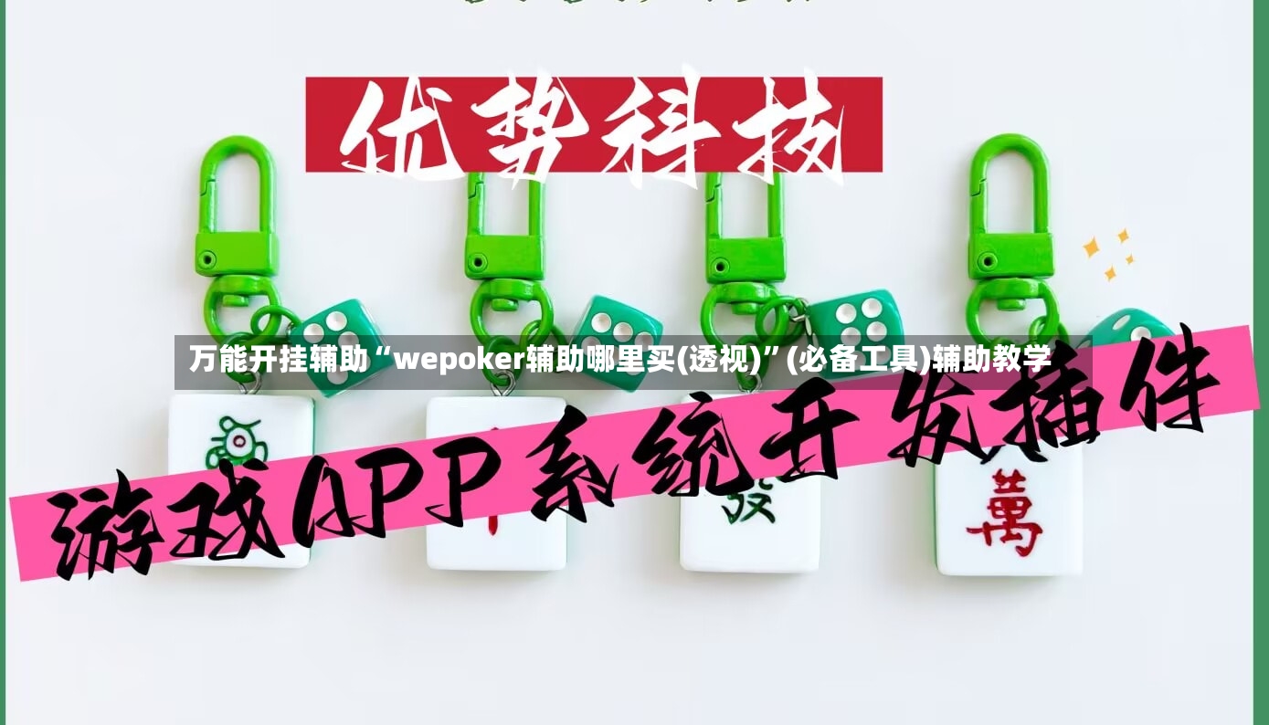 万能开挂辅助“wepoker辅助哪里买(透视)”(必备工具)辅助教学-第3张图片