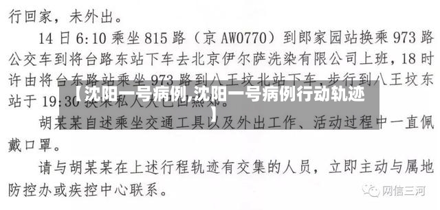 【沈阳一号病例,沈阳一号病例行动轨迹】