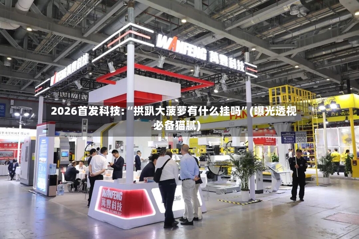 2026首发科技:“拱趴大菠萝有什么挂吗”(曝光透视必备猫腻)-第2张图片
