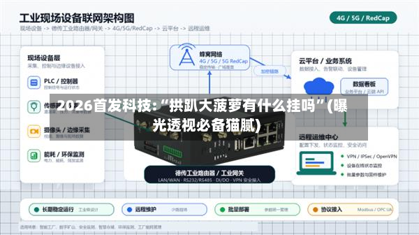 2026首发科技:“拱趴大菠萝有什么挂吗”(曝光透视必备猫腻)-第3张图片