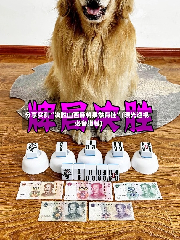 分享实测“决胜山西麻将果然有挂”(曝光透视必备猫腻)-第2张图片