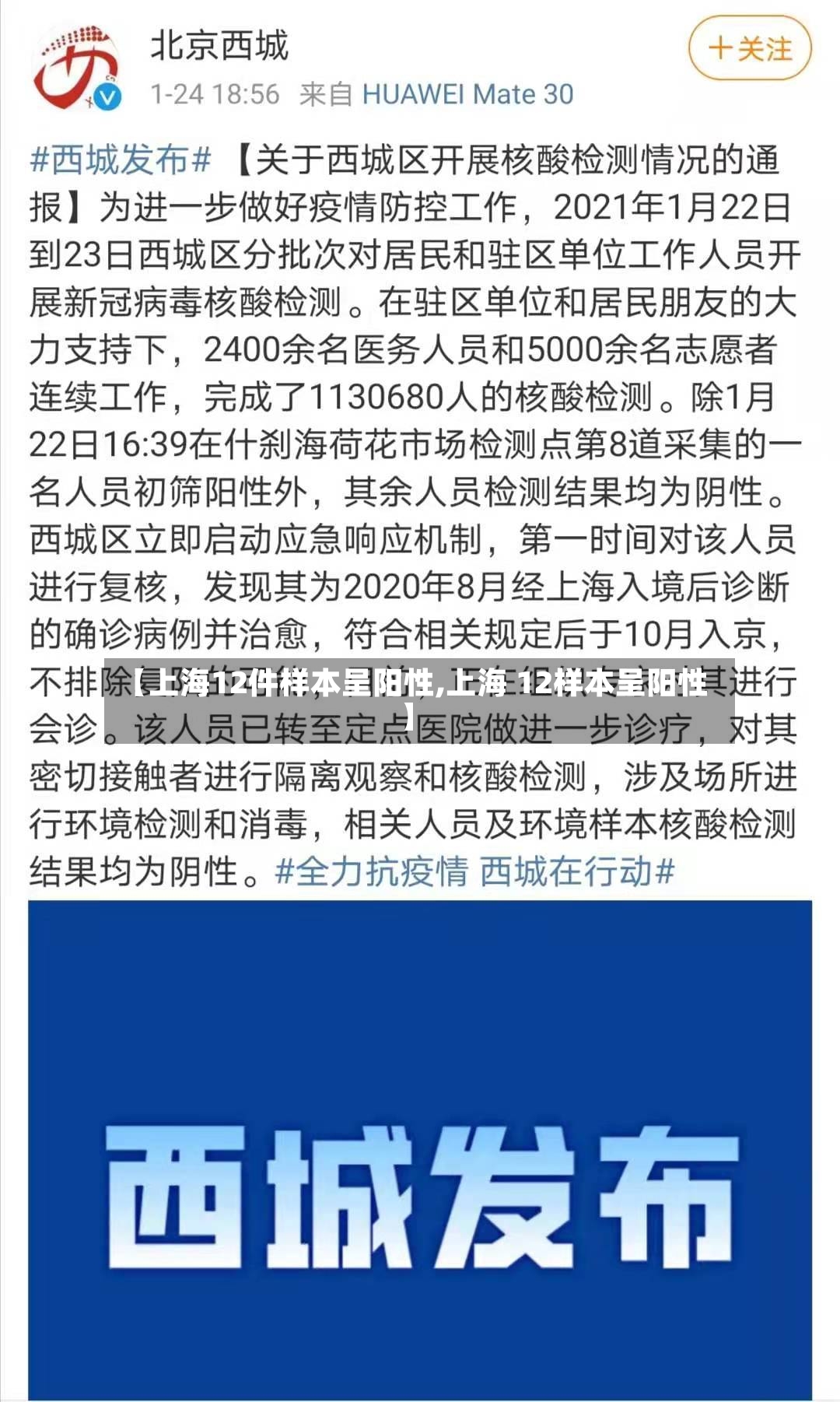 【上海12件样本呈阳性,上海 12样本呈阳性】-第2张图片
