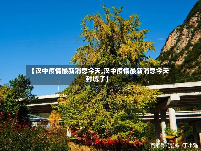 【汉中疫情最新消息今天,汉中疫情最新消息今天封城了】