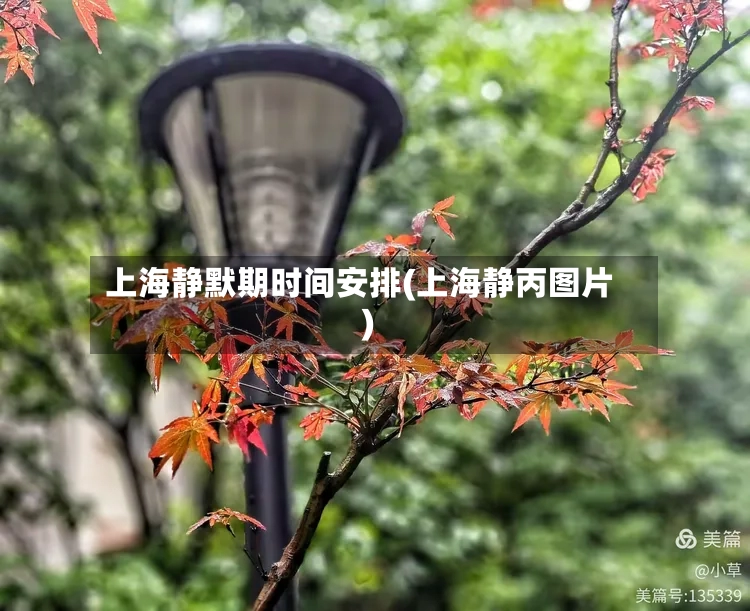 上海静默期时间安排(上海静丙图片)-第3张图片