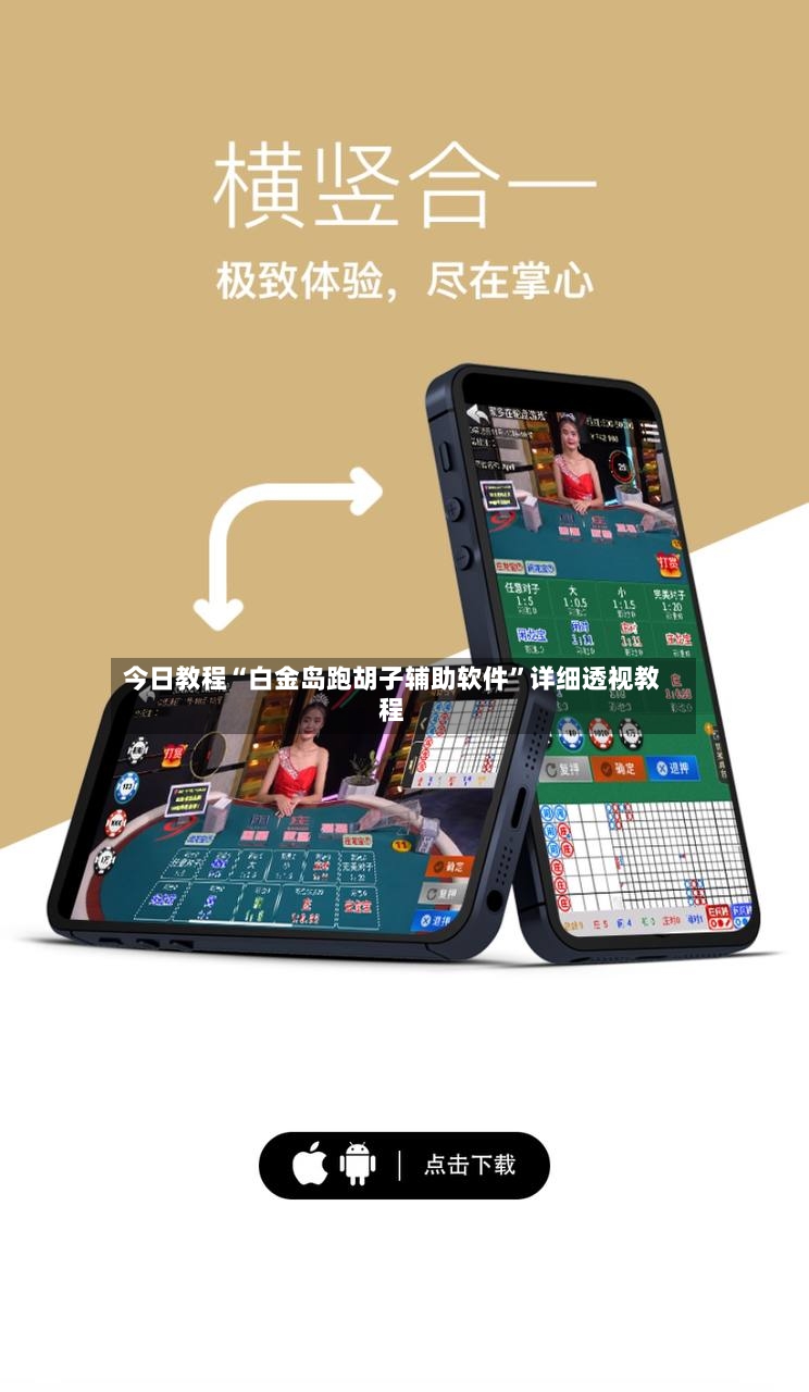 今日教程“白金岛跑胡子辅助软件	”详细透视教程-第3张图片