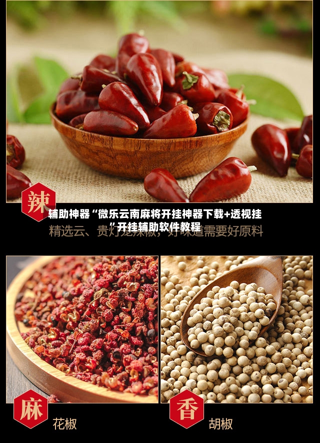 辅助神器“微乐云南麻将开挂神器下载+透视挂”开挂辅助软件教程