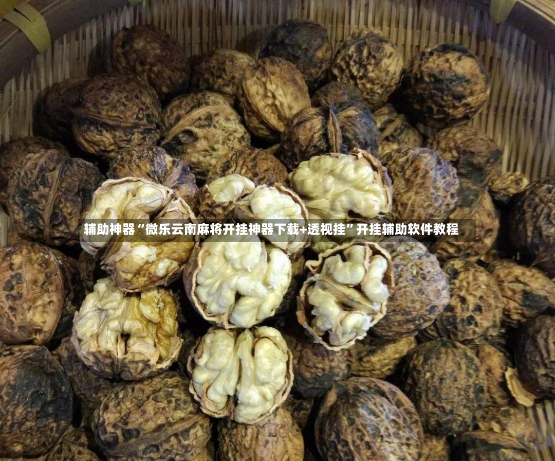 辅助神器“微乐云南麻将开挂神器下载+透视挂”开挂辅助软件教程-第2张图片
