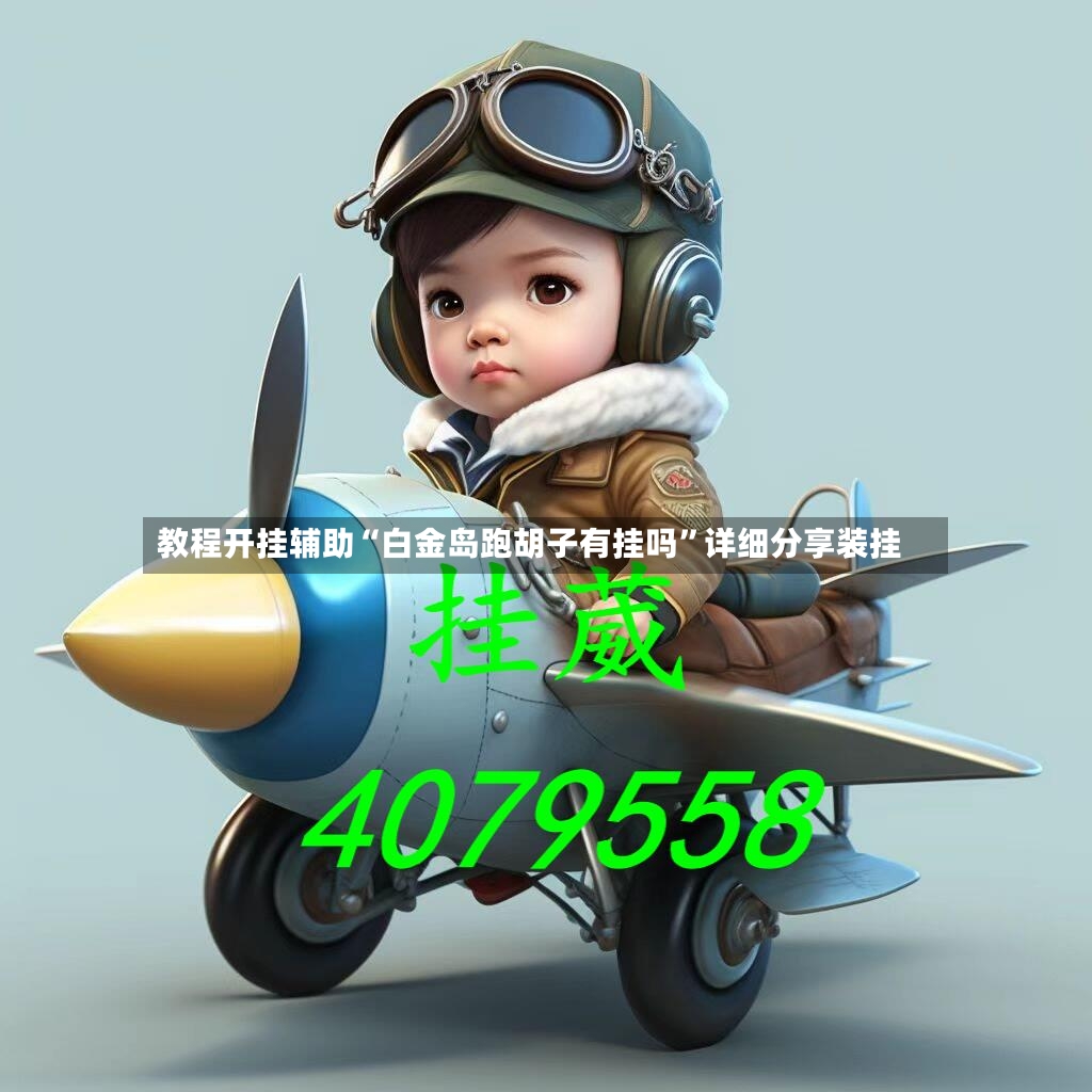 教程开挂辅助“白金岛跑胡子有挂吗	”详细分享装挂-第2张图片