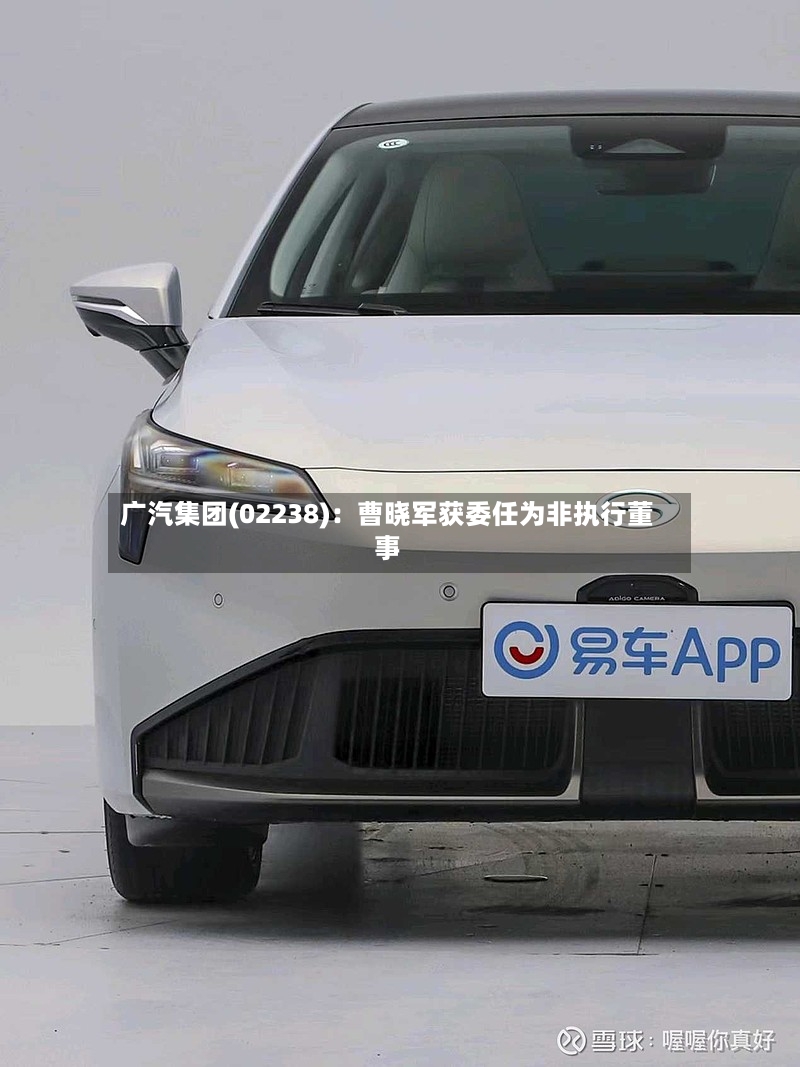 广汽集团(02238):曹晓军获委任为非执行董事-第2张图片