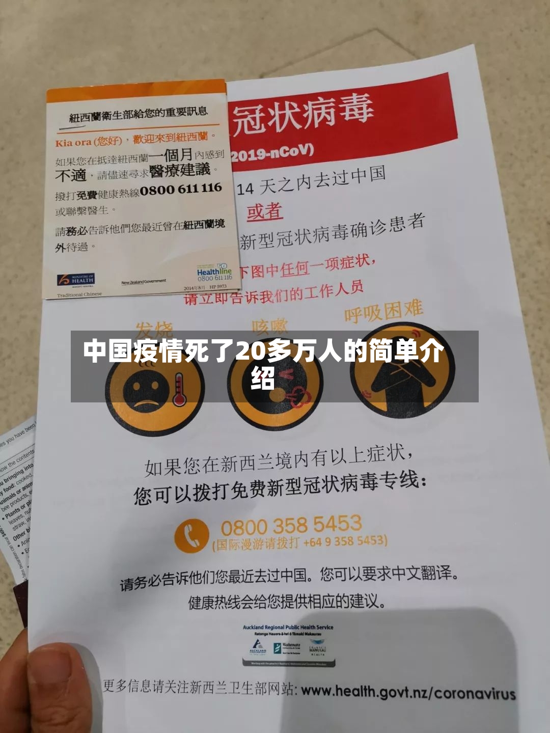 中国疫情死了20多万人的简单介绍