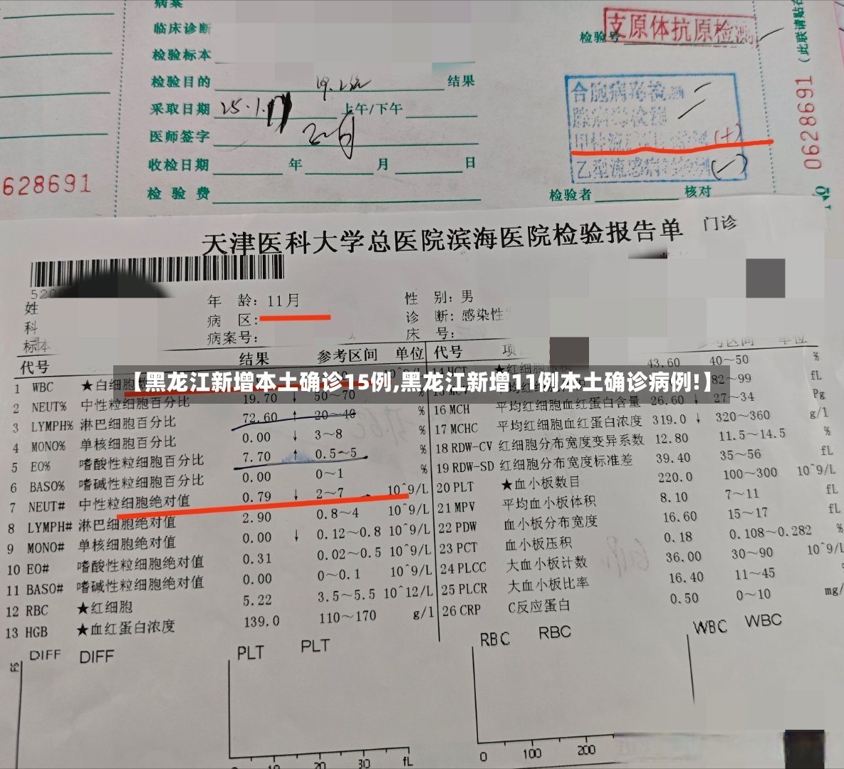 【黑龙江新增本土确诊15例,黑龙江新增11例本土确诊病例!】-第3张图片