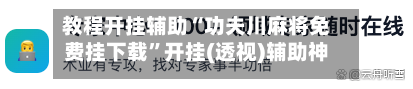 教程开挂辅助“功夫川麻将免费挂下载”开挂(透视)辅助神器-第2张图片