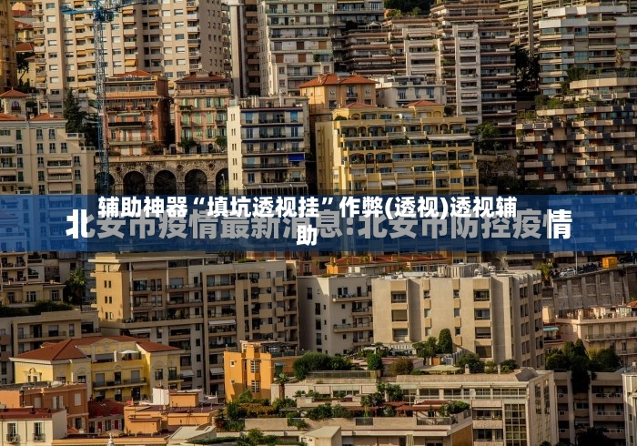 辅助神器“填坑透视挂”作弊(透视)透视辅助-第3张图片