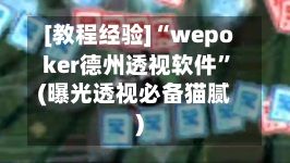 [教程经验]“wepoker德州透视软件”(曝光透视必备猫腻)