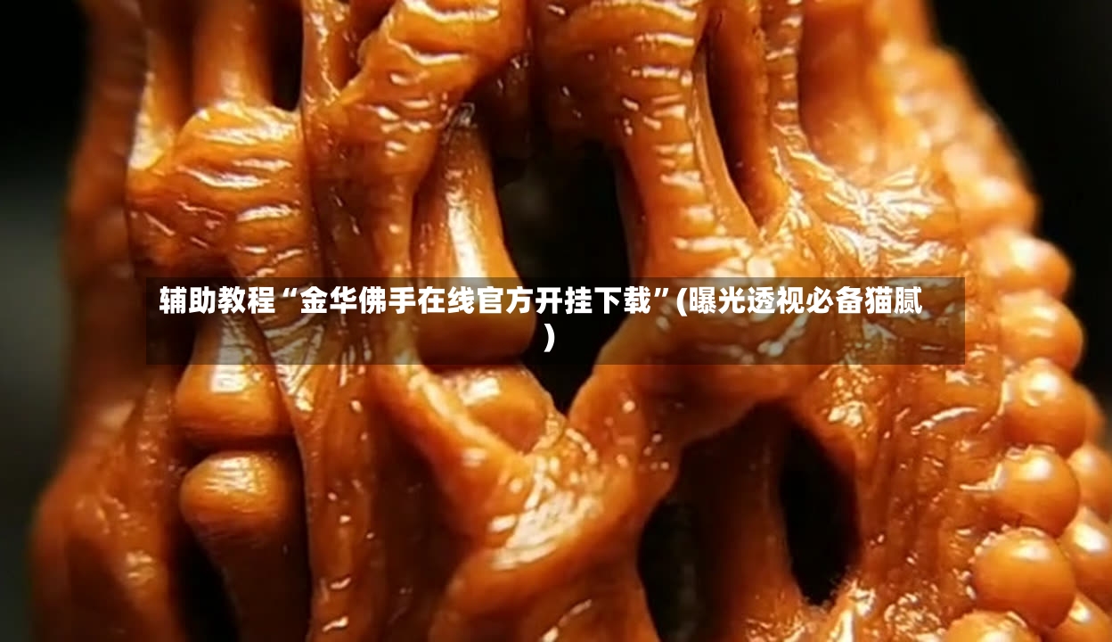 辅助教程“金华佛手在线官方开挂下载”(曝光透视必备猫腻)-第2张图片