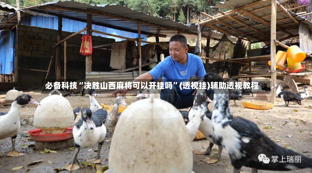 必备科技“决胜山西麻将可以开挂吗”(透视挂)辅助透视教程-第3张图片