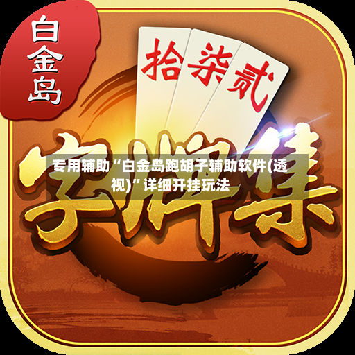 专用辅助“白金岛跑胡子辅助软件(透视)	”详细开挂玩法-第2张图片