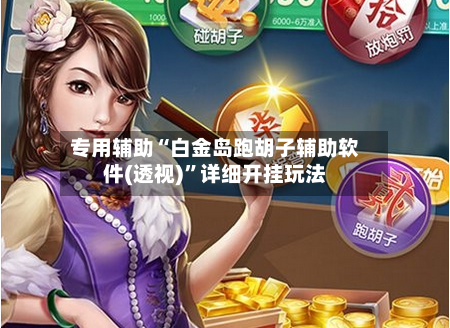 专用辅助“白金岛跑胡子辅助软件(透视)”详细开挂玩法-第3张图片