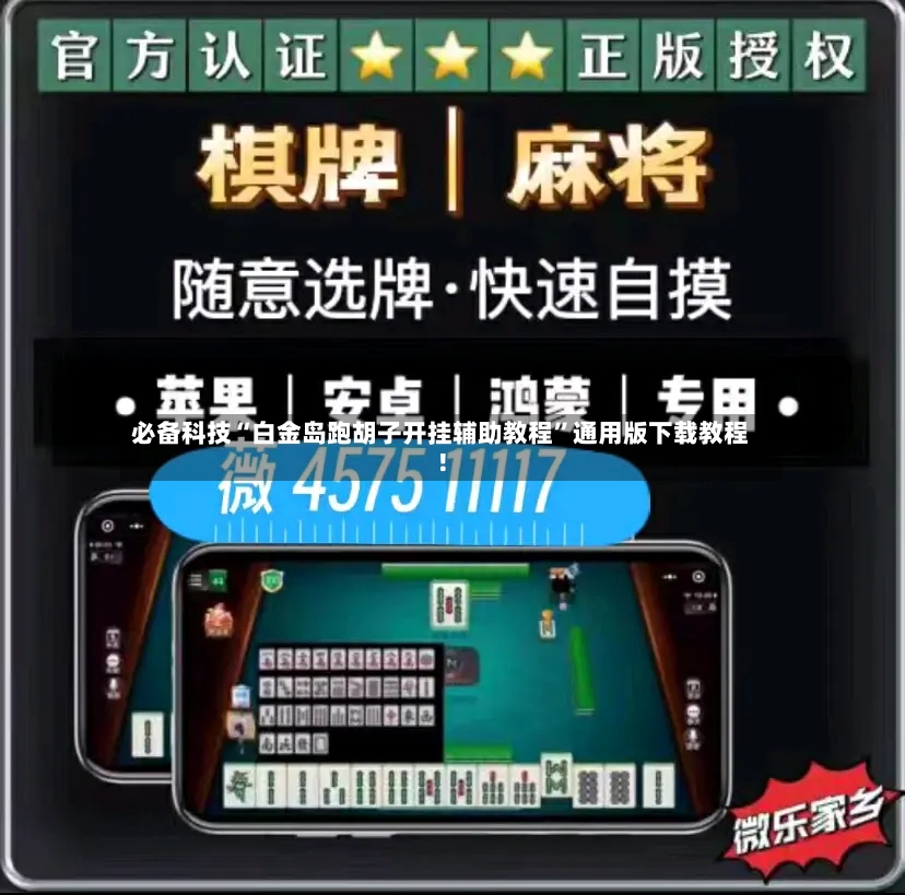必备科技“白金岛跑胡子开挂辅助教程”通用版下载教程！-第2张图片