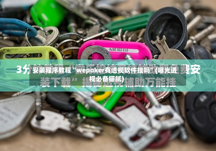 安装程序教程“wepoker有透视软件挂吗”(曝光透视必备猫腻)