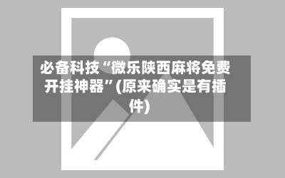 必备科技“微乐陕西麻将免费开挂神器	”(原来确实是有插件)-第2张图片