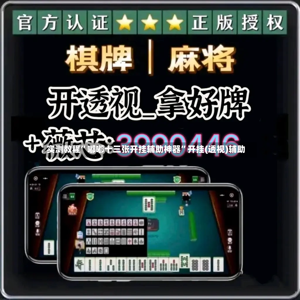 实测教程	”嘟嘟十三张开挂辅助神器”开挂(透视)辅助-第3张图片