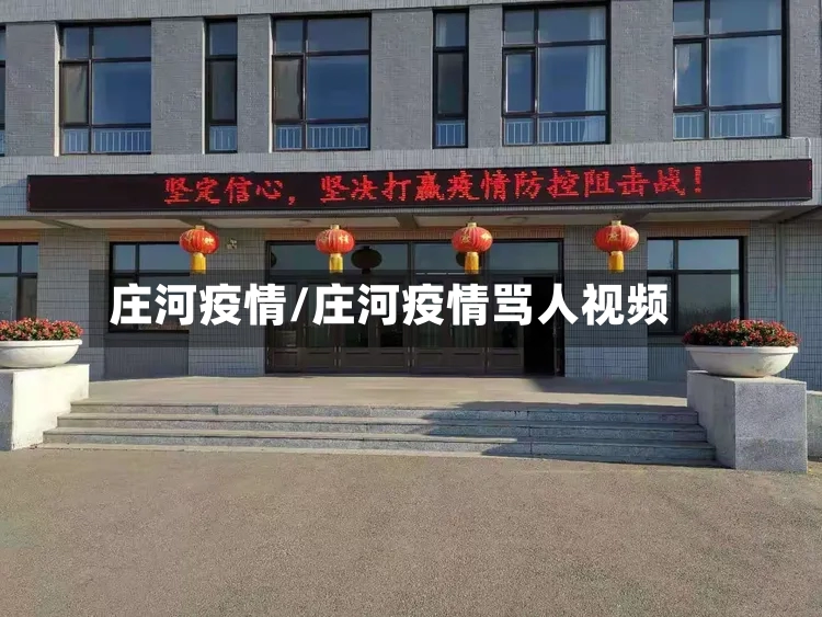 庄河疫情/庄河疫情骂人视频